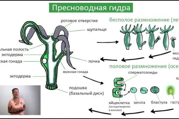 Блэкспрут площадка blacksprut2web in