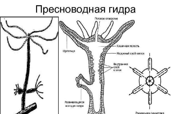 Блэк спрут нет blacksprut adress com